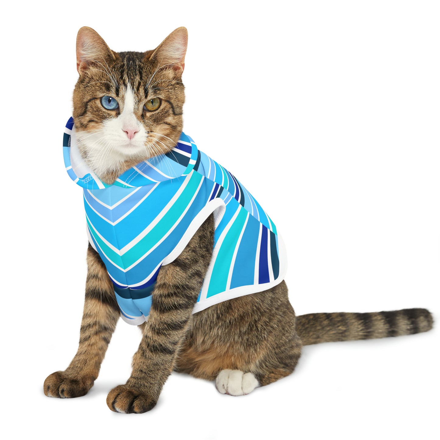 HLC Blue Stripes Pet Hoodie