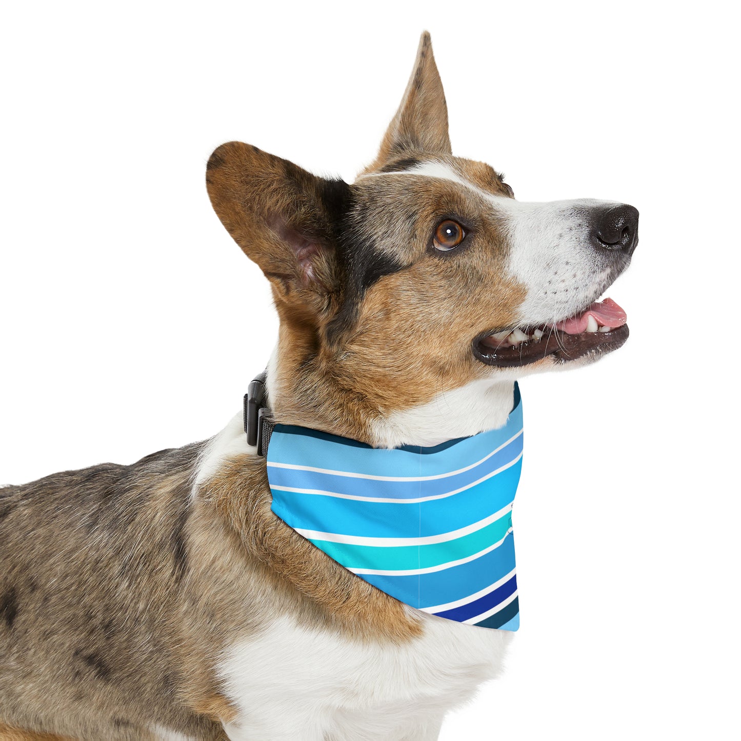 HLC Blue Stripes Pet Bandana Collar