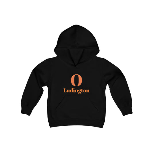 Orioles Fan w back Oriole Nation Youth Heavy Blend Hooded Sweatshirt