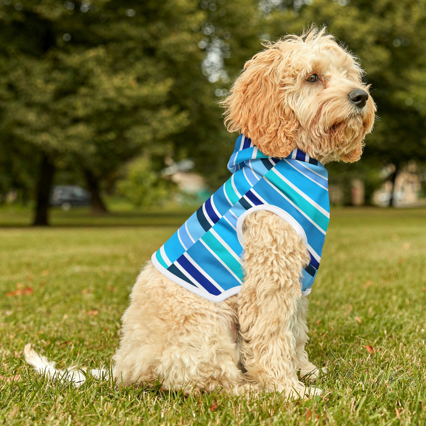 HLC Blue Stripes Pet Hoodie